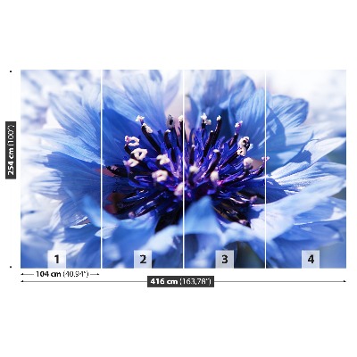 Papel de parede Azul Centáurea