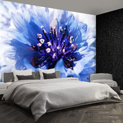 Papel de parede Azul Centáurea