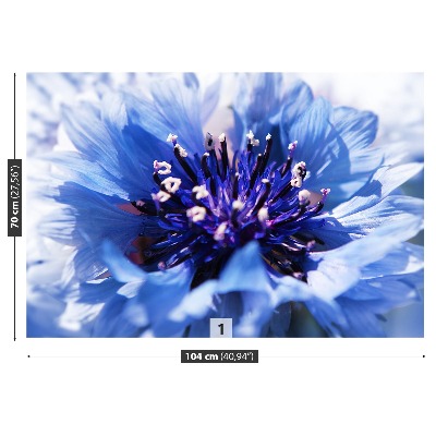 Papel de parede Azul Centáurea