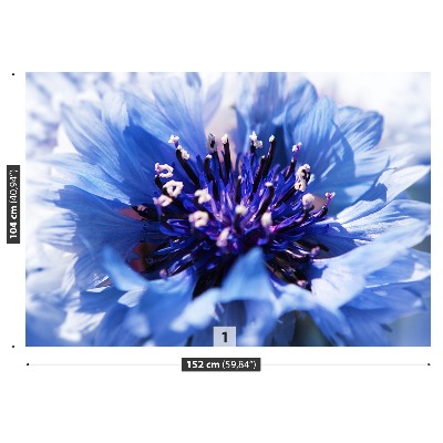 Papel de parede Azul Centáurea