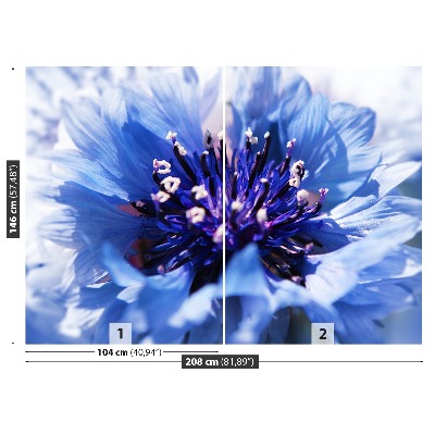Papel de parede Azul Centáurea