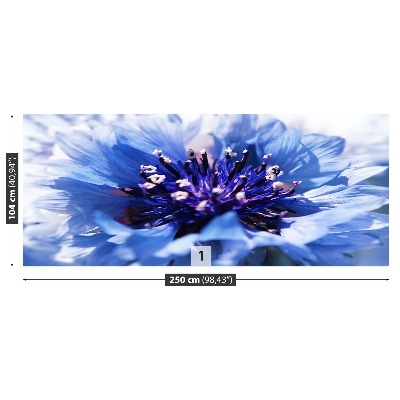 Papel de parede Azul Centáurea
