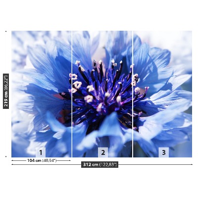 Papel de parede Azul Centáurea