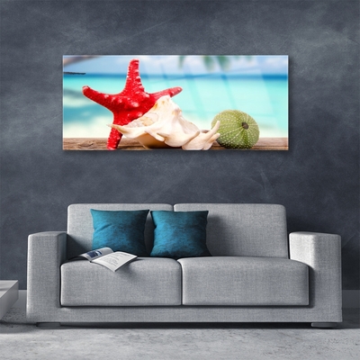 Quadro acrílico Arte em conchas e estrelas do mar