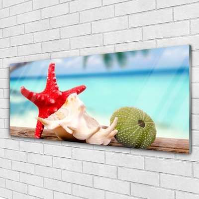 Quadro acrílico Arte em conchas e estrelas do mar