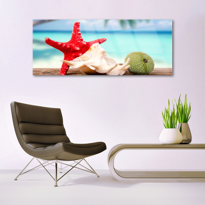 Quadro acrílico Arte em conchas e estrelas do mar