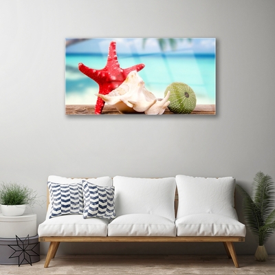 Quadro acrílico Arte em conchas e estrelas do mar
