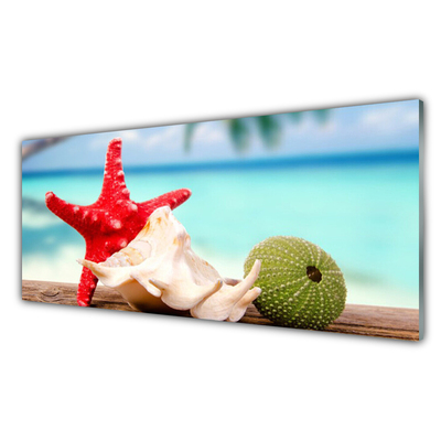 Quadro acrílico Arte em conchas e estrelas do mar