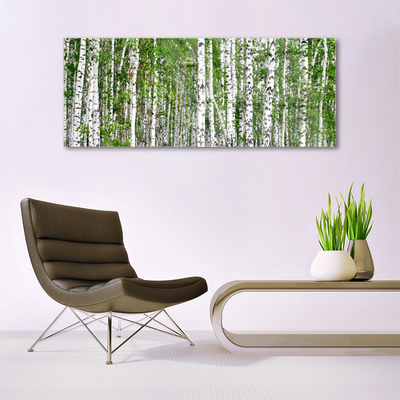 Quadro acrílico Árvores da floresta de bétulas Natureza