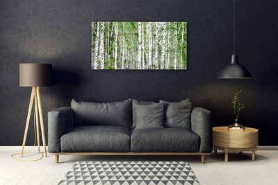Quadro acrílico Árvores da floresta de bétulas Natureza