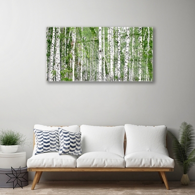 Quadro acrílico Árvores da floresta de bétulas Natureza
