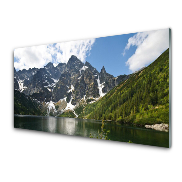 Quadro acrílico Paisagem de floresta de lago de montanha