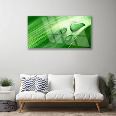 Pintura acrílica Gotas de água de folhas