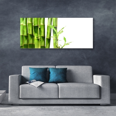 Quadro acrílico Planta de bambu