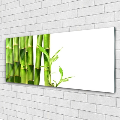 Quadro acrílico Planta de bambu