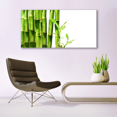 Quadro acrílico Planta de bambu
