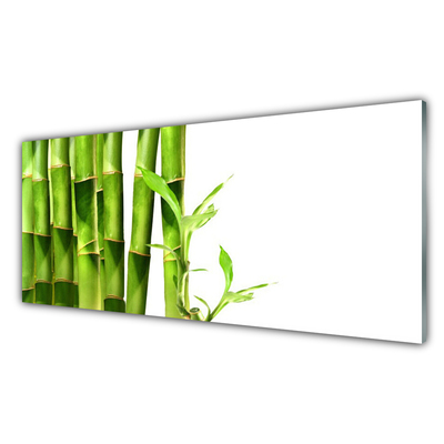 Quadro acrílico Planta de bambu
