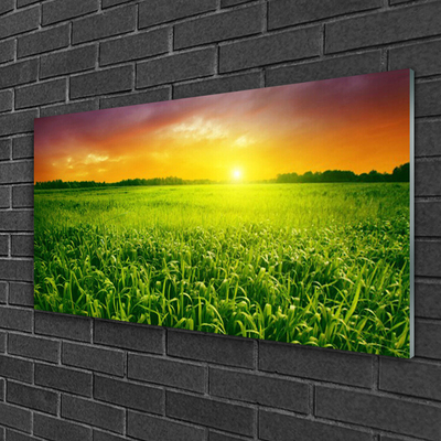 Quadro acrílico Nascer do sol no campo de grãos