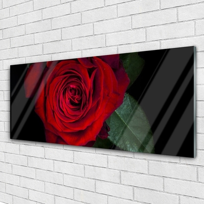 Pintura acrílica Rosa na Parede