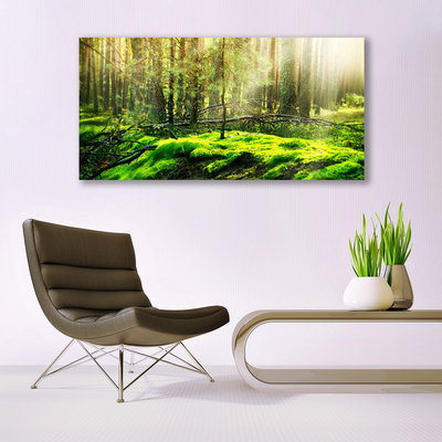 Quadro acrílico Natureza da Floresta de Musgos