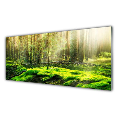Quadro acrílico Natureza da Floresta de Musgos