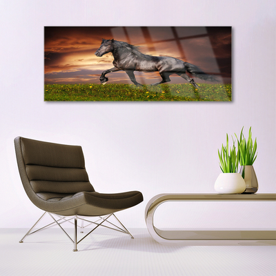 Pintura acrílica Animais do Prado do Cavalo Preto