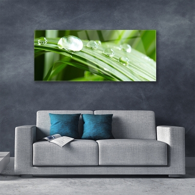 Quadro acrílico Gotas de orvalho das folhas