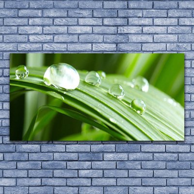Quadro acrílico Gotas de orvalho das folhas