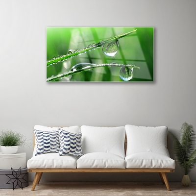 Pintura acrílica Gotas de orvalho de grama