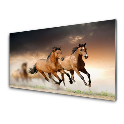 Quadro acrílico Cavalos Animais