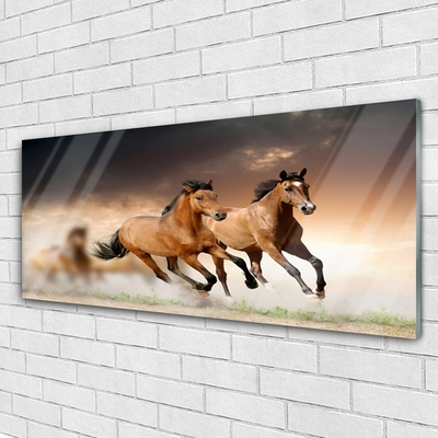 Quadro acrílico Cavalos Animais