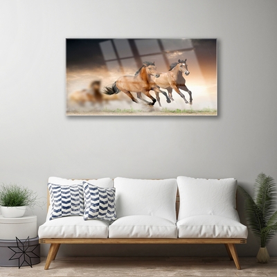 Quadro acrílico Cavalos Animais