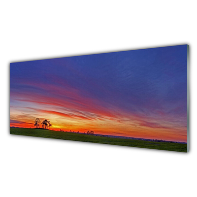 Quadro acrílico Paisagem Campo Árvores Natureza