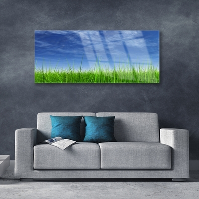 Pintura acrílica Planta Natural Sky Grass