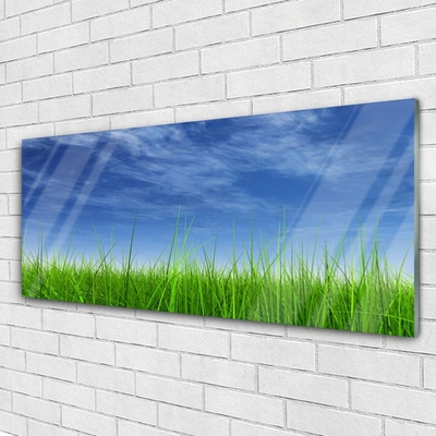 Pintura acrílica Planta Natural Sky Grass