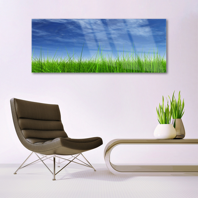 Pintura acrílica Planta Natural Sky Grass