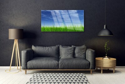 Pintura acrílica Planta Natural Sky Grass