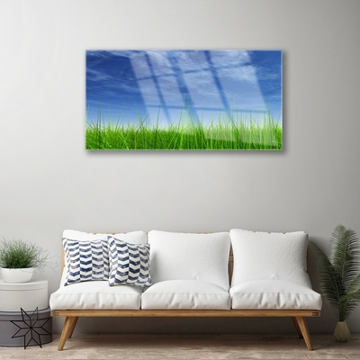 Pintura acrílica Planta Natural Sky Grass