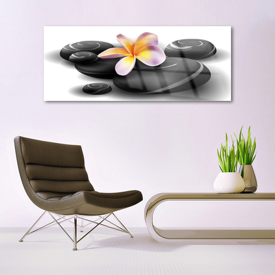 Pintura acrílica Pedras de flores Natureza