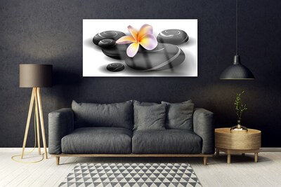 Pintura acrílica Pedras de flores Natureza