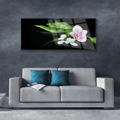 Quadro acrílico Pedras de flores Folhas