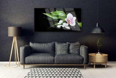 Quadro acrílico Pedras de flores Folhas