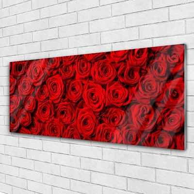 Quadro acrílico Rosas na Parede