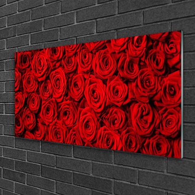 Quadro acrílico Rosas na Parede