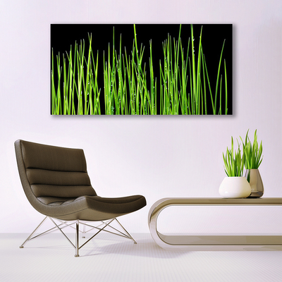 Quadro acrílico Planta de grama