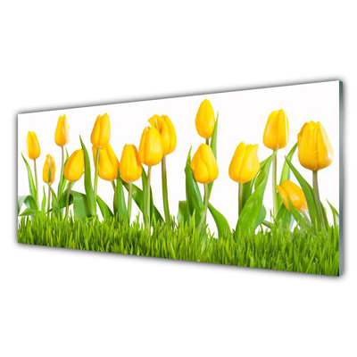 Quadro acrílico Tulipas na Parede