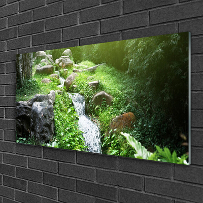 Quadro acrílico Grama de riacho Natureza Planta