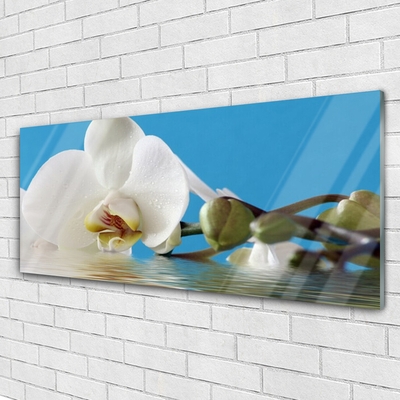 Pintura acrílica Flor Planta Natureza