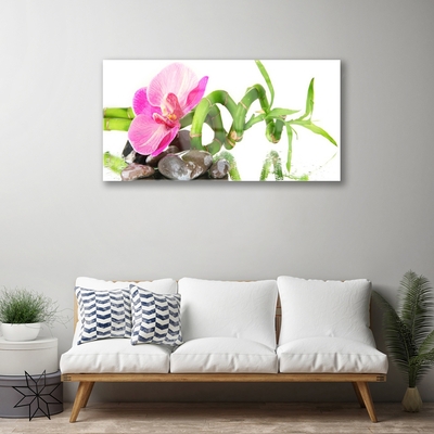 Pintura acrílica Flor Planta Natureza