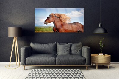 Quadro acrílico Animais Cavalos